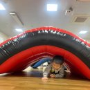 11월1주 샘물반 특별활동 이미지