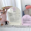 미용하냥 이미지