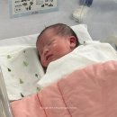 더미즈병원 | 더미즈병원 제왕절개 후기 38주 5일 니쥬 지구별 도착