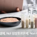 마운틴미트