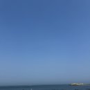 스테이 모인 이미지