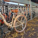 은행나무길 대여소 이미지