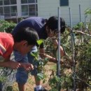 서산기쁨농장 이미지