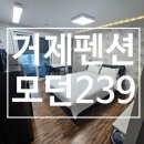 모던239 이미지