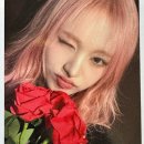 리즈컬러 이미지