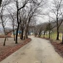 도로줌마을 이미지