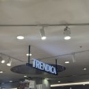 트랜디카 | 마리오아울렛선글라스 "트랜디카"에서 카린 구매후기