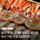 바다만찬 - 금정구 서동로 183-1 | 부산 기장 대게맛집 대게만찬 바다뷰와 함께 즐긴 푸짐한 대게 코스 후기