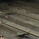 서종풀 펜션 이미지