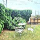 제주놀3320 이미지