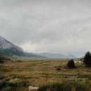 녹색환경개발 이미지