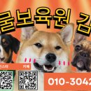 동물보육원 김포지부 이미지