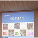 봉대초등학교 병설유치원 이미지