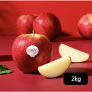 11월 6(금) -만추!! 수덕사 &amp;엔비사과(Envy Apple) 이미지