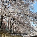 태화유리 이미지