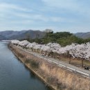 백운솔숲길(임하면) 이미지