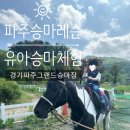 파주승마레슨 그랜드승마장, 50개월 아이 원데이 체험 찐후기