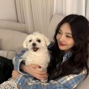 조이컨설팅 - 천안시 동남구 청수5로 3 | 조이컨설팅