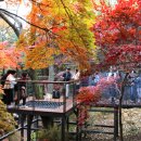 힐링산책코스 이미지