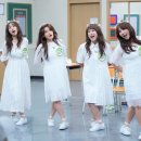 파이브 카카오 검색결과