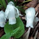 재박이네 이미지