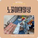11650-17-139-12 | 4개월 아기 코로나 입원 후기｜태어나서 처음 겪은 영아 입원 기록