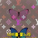 소망 인셀덤 이미지