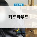 카프라우드 네이버블로그