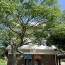 금갑해변 이미지