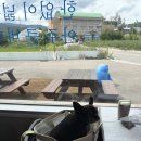 양양하다 | 양양 인구해수욕장 애견동반식당 양양하다 점심 메뉴