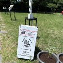 당진 승마장 | 아그로랜드 태신목장 ::: 충남 예산 가볼만한 곳! (위치, 영업시간, 입장권, 주차 등)