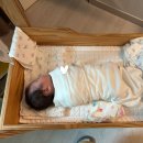 (주)사임당아모리움산후조리원 | 서초 사임당 아모리움조리원 2주 스탠다드