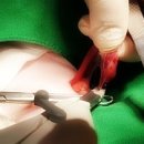 로이종합동물병원 이미지