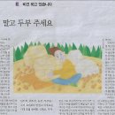 바로e두부야 Daum카페