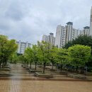 주공휴먼시아7단지앞 이미지