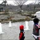 에버그린농장 이미지