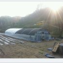 안이하우스 이미지