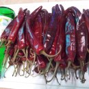 행화농장 이미지