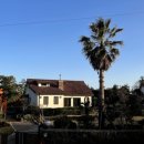 애월다락방 이미지