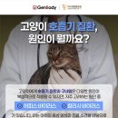 러브펫동물병원 네이버블로그