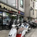 욜로모터스 이미지