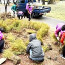 월영연못공원 이미지