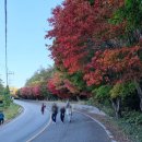 청산도 안단테 이미지