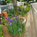 시화동보아파트 이미지