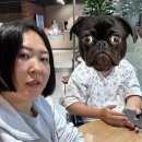 식객촌 동국대일산병원점