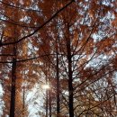 장지약수터 이미지