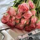 보글 | [성수] 스튜디오 보글 공간대여 촬영 후기