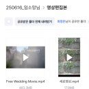 계산성당 앞 | 📸 대구 동산병원 &amp; 계산성당 웨딩 스냅 후기