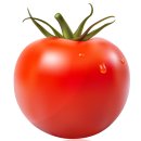 토마토미용실 이미지