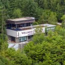 웰니스레포츠